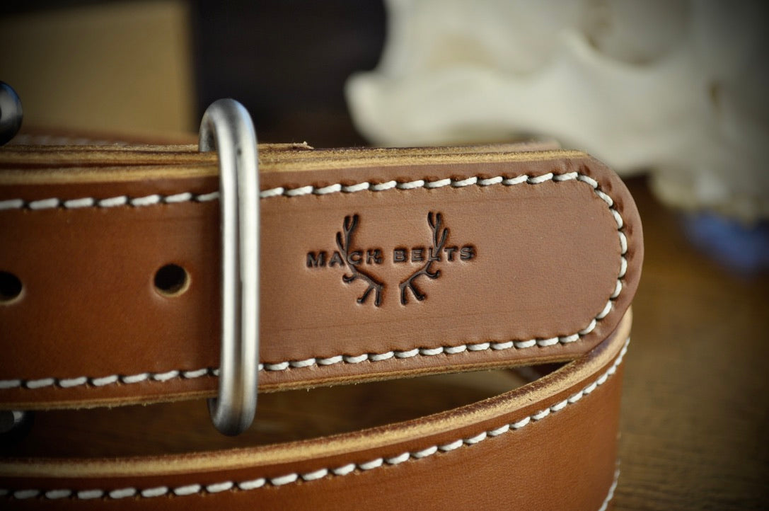The Bighorn Belt